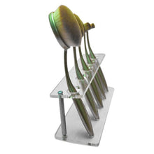 100% brand new and high quality 5 Hole Microscler Makeup Brush Holder Drying Rack Organizer Cosmetic Shelf Tool Anne