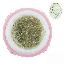 2016 HOT New Arrival 10ml 6pcs Dried Flowers Pattern Nail Art UV LED Soak Off Gel Polish Set Manicure Salon Anne