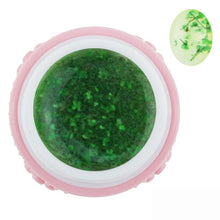 2016 HOT New Arrival 10ml 6pcs Dried Flowers Pattern Nail Art UV LED Soak Off Gel Polish Set Manicure Salon Anne