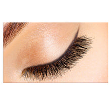 New Eyeliner Waterproof Makeup Eyelash Liquid Black Eyeliner Lashes Extension 2016 Women Beauty Freeshipping