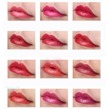 New Top Fashion 12pcs/lot Lipsticks Lip Stain Makeup Lot Leopard Moisturizing Lip Stick Set Matte+Shimmer Easy to wear Anne
