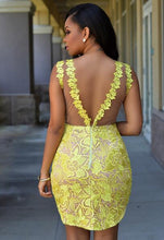 Sexy Backless Eyelash Lace Deep Plunge V Neck Floral Embroidery See Through Club Dress Tank New Arrivals 2016 Women Dresses Lady